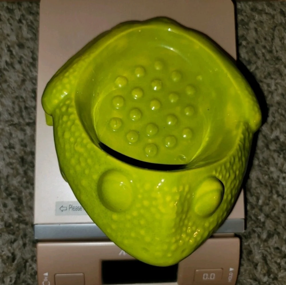 Green Frog Reptile Soap Dish Vintage